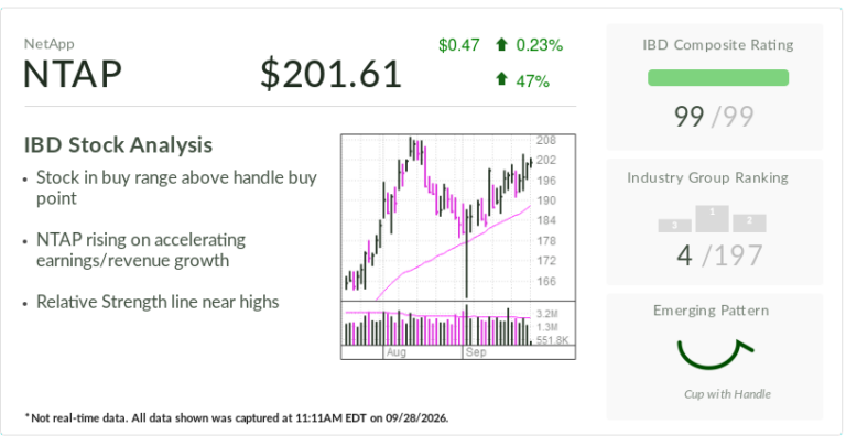 IBD Stock Of The Day: NetApp’s AI-Powered Rally Faces Next Test
