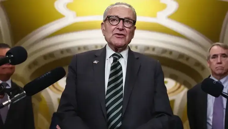 Schumer accused of yearlong plot to plant ‘decoy’ candidate in critical Senate race
